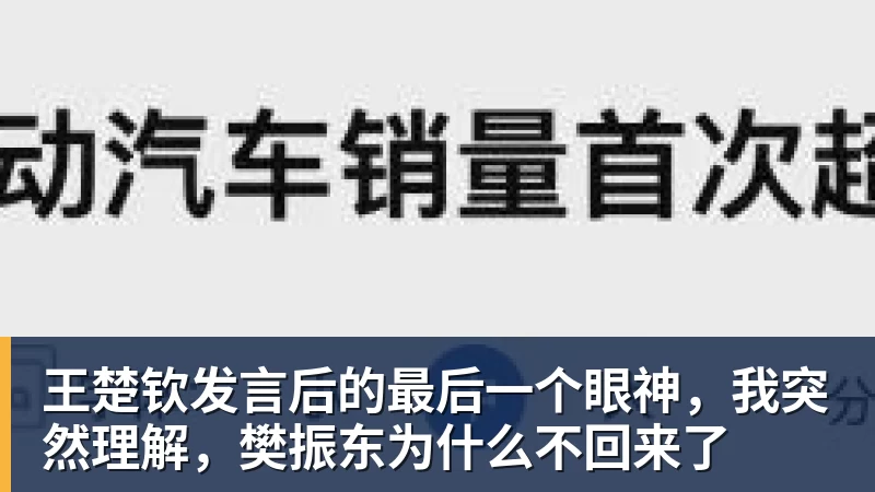 王楚钦发言后的最后一个眼神，我突然理解，樊振东为什么不回来了